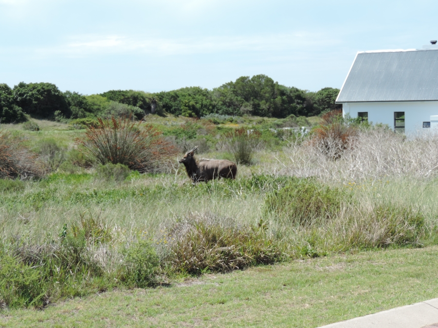 0 Bedroom Property for Sale in St Francis Links Eastern Cape
